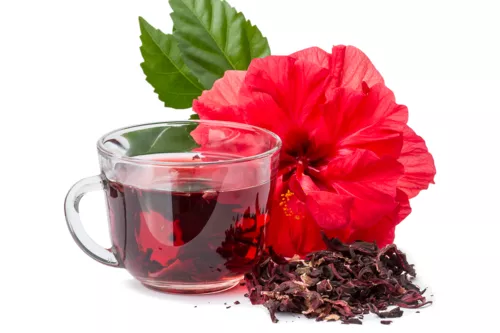L’hibiscus