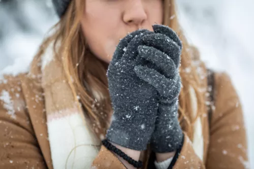 Le froid